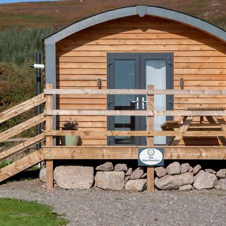 The Hen Harrier - 4 Person Luxury Glamping Cabin Hotel Dungarvan  Bagian luar foto